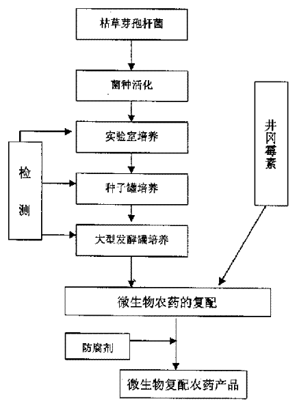 Recompounded microbe germicide for preventing and controlling banded sclerotial blight and green smut of rice