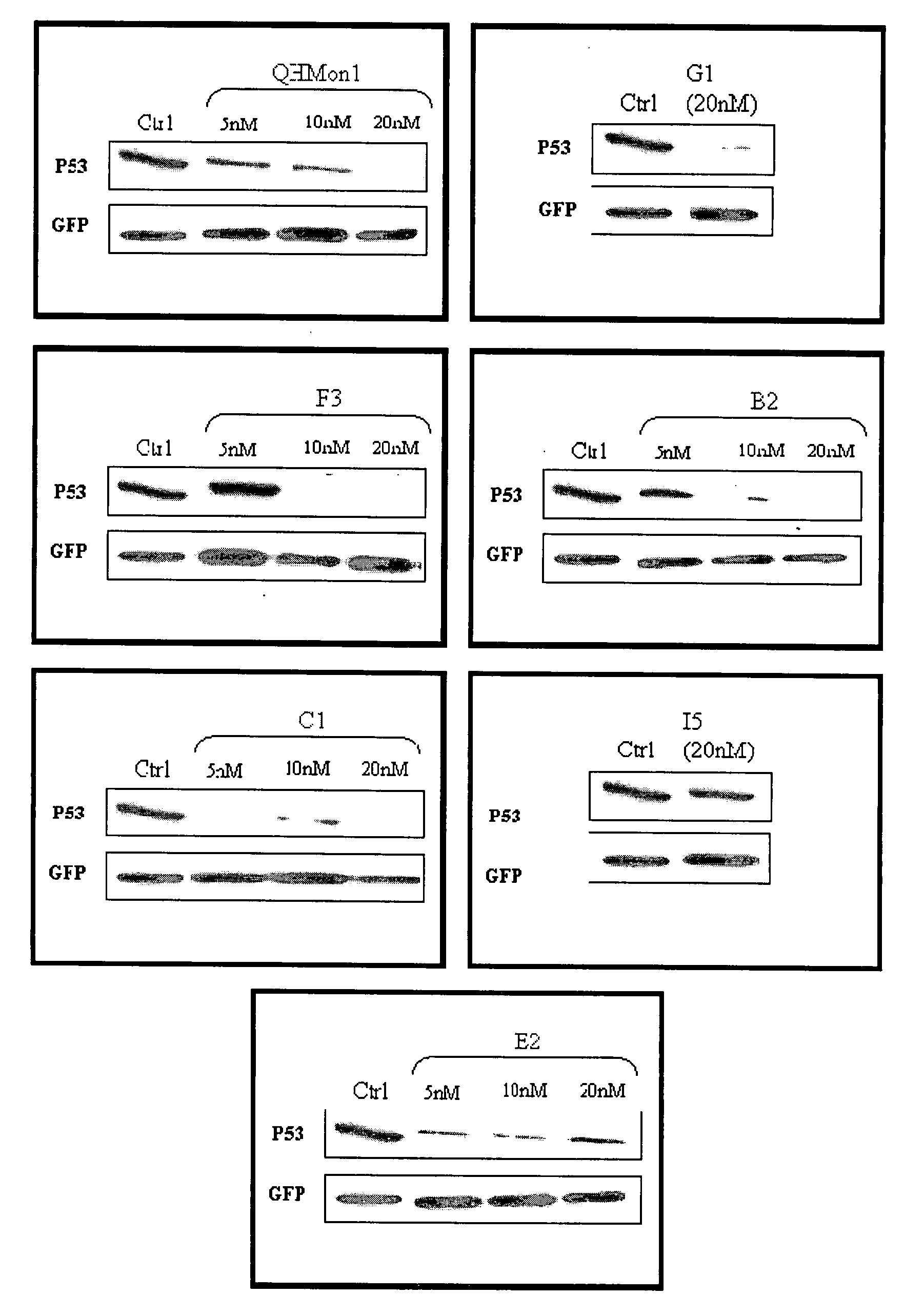 Methods of treatment of acute renal failure