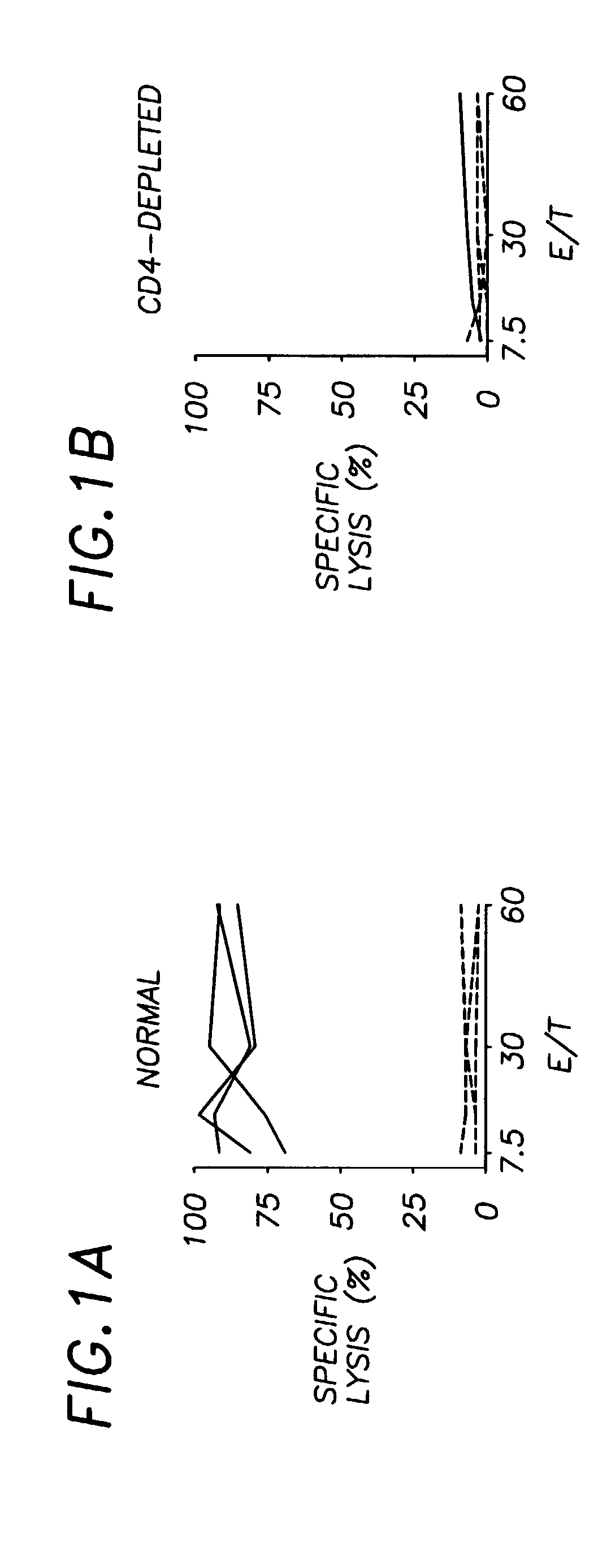 CD40 binding molecules and CTL peptides for treating tumors