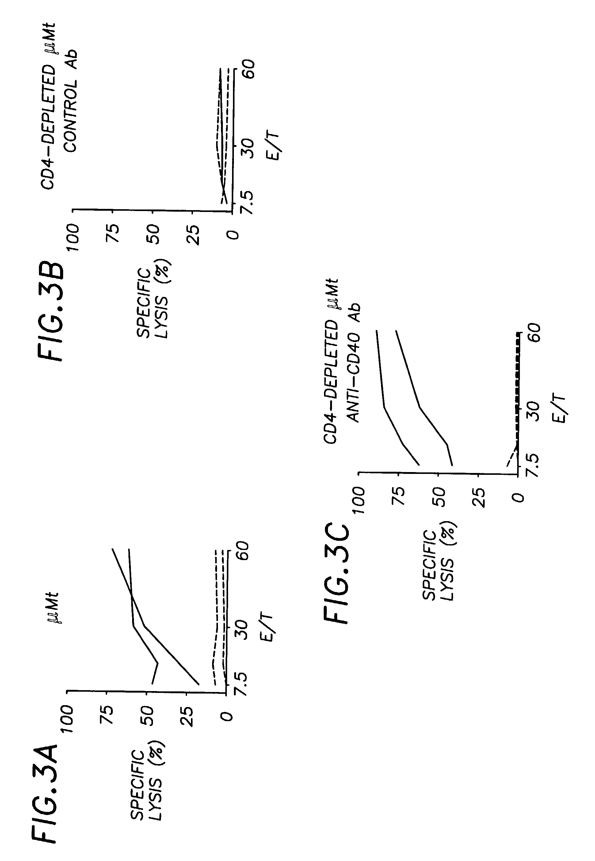 CD40 binding molecules and CTL peptides for treating tumors