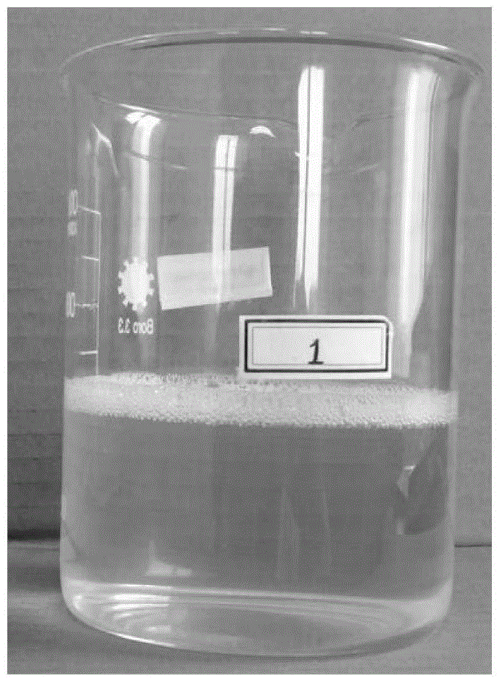 Formaldehyde-free non-iron finishing method for in-situ polymerization-crosslinking of unsaturated carboxylic acid of cellulose fiber fabric