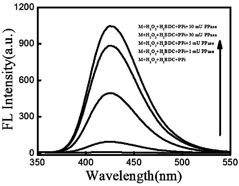 Fluorescent sensor for detecting inorganic pyophosphatase and its preparation method