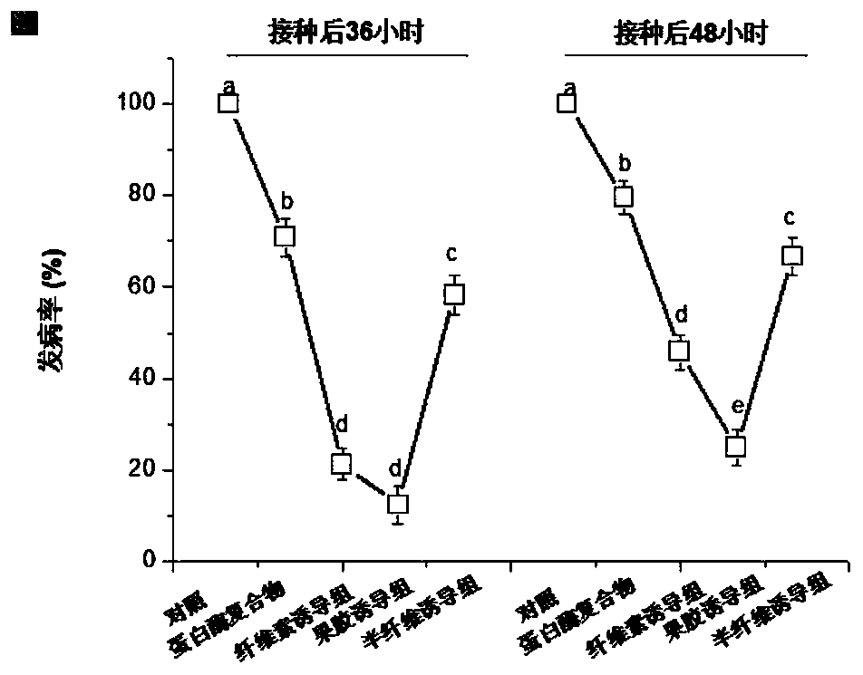 Oligosaccharide preservative for inhibiting fruit softening and reducing mechanical damage harm, and use method and purpose thereof