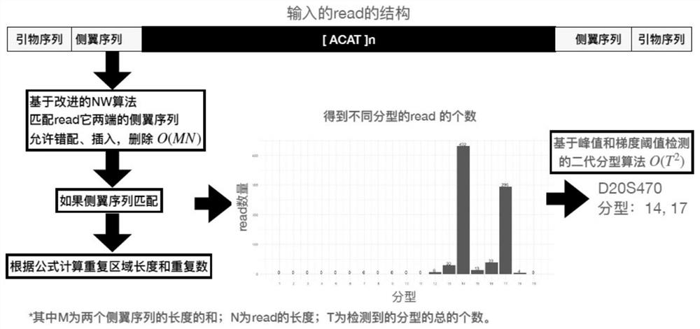 Method for detecting and typing repeat number of short tandem repeat sequence