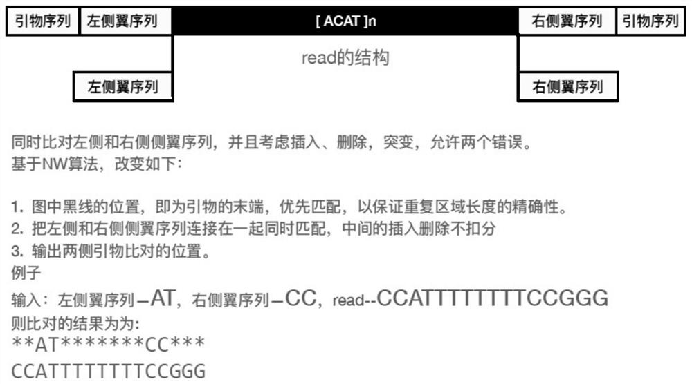 Method for detecting and typing repeat number of short tandem repeat sequence