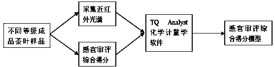 Method for performing sensory evaluation on tea by adopting near infrared spectrum