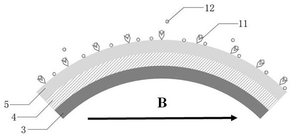 Magnetorheological elastic composite film surface stress biosensor