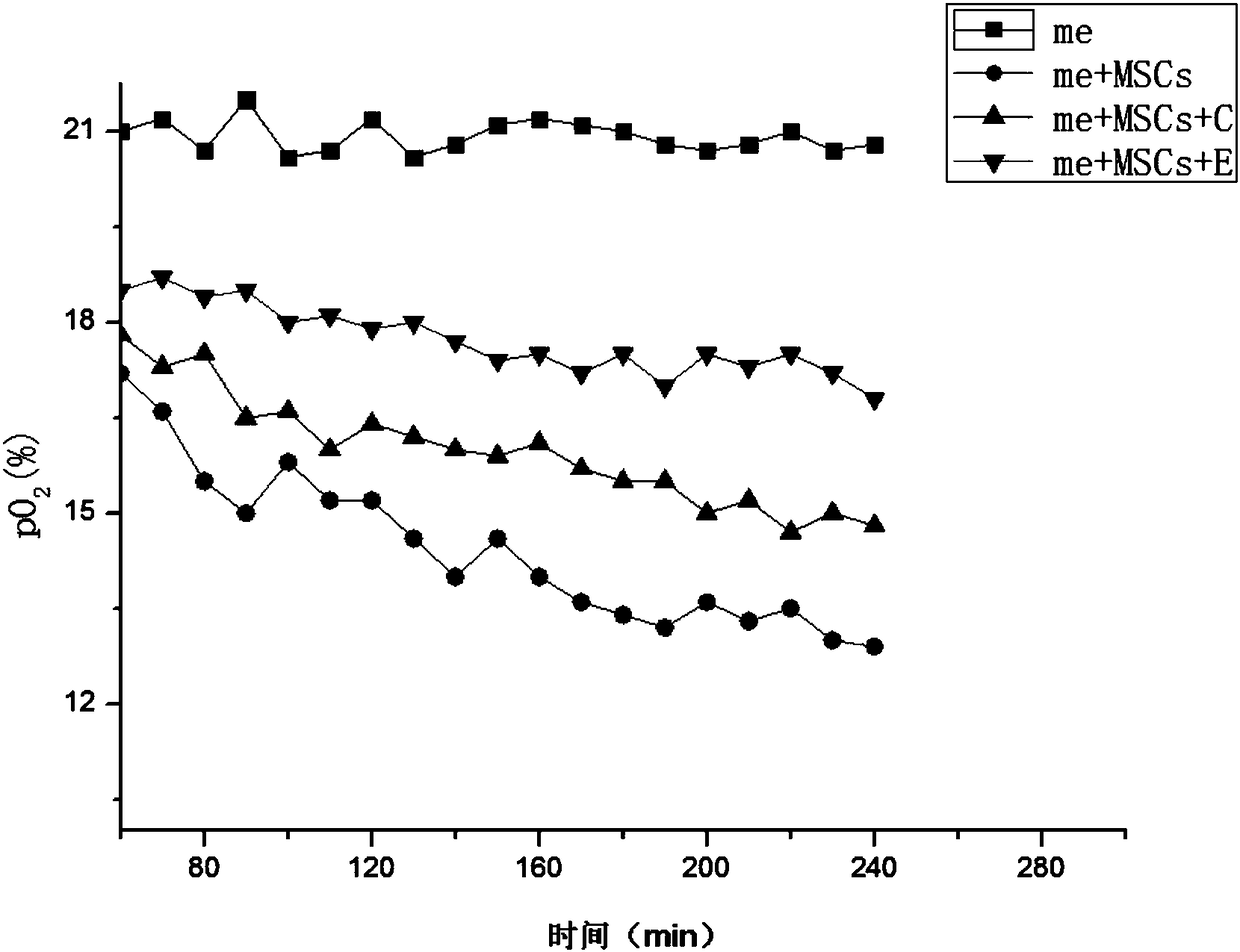 Oxygen-rich gel gent for promoting wound healing, preparation method and applications thereof