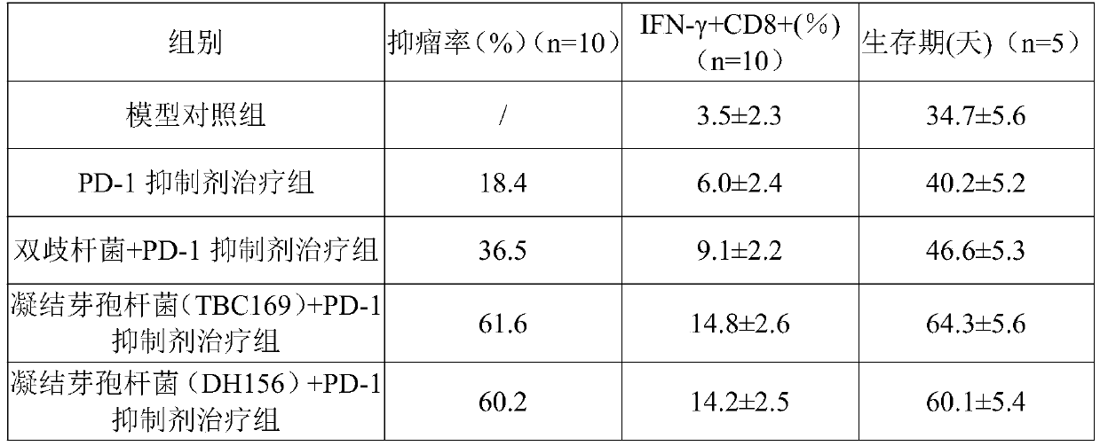 Application of bacillus coagulans to preparing antitumor immunity inducing and immune checkpoint inhibitor sensitizing agents