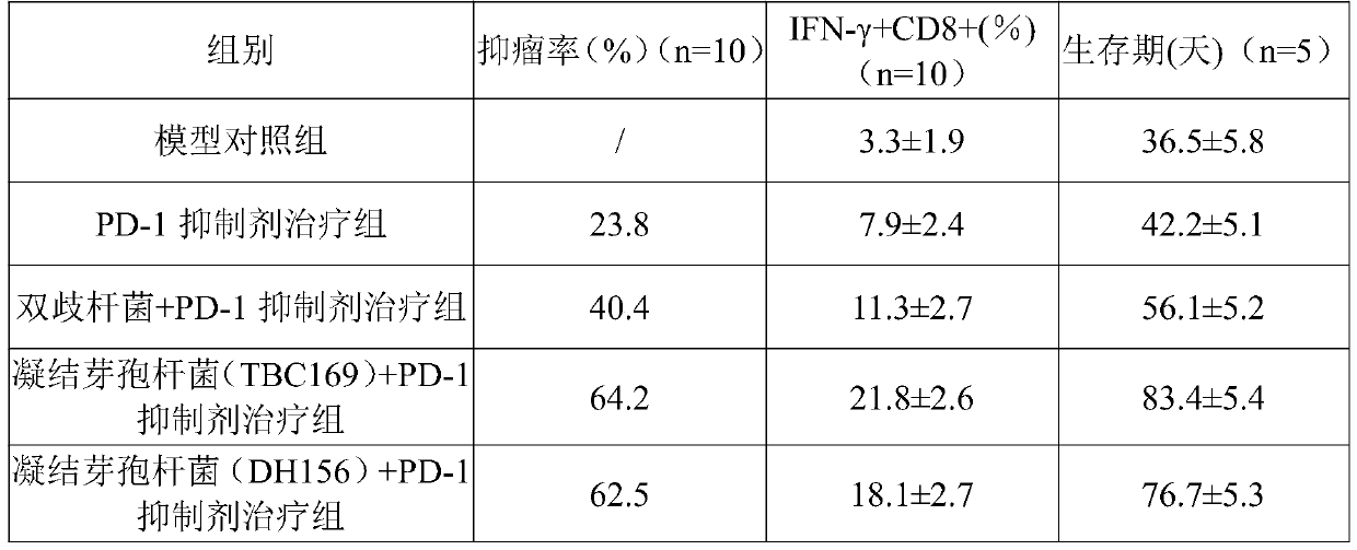 Application of bacillus coagulans to preparing antitumor immunity inducing and immune checkpoint inhibitor sensitizing agents