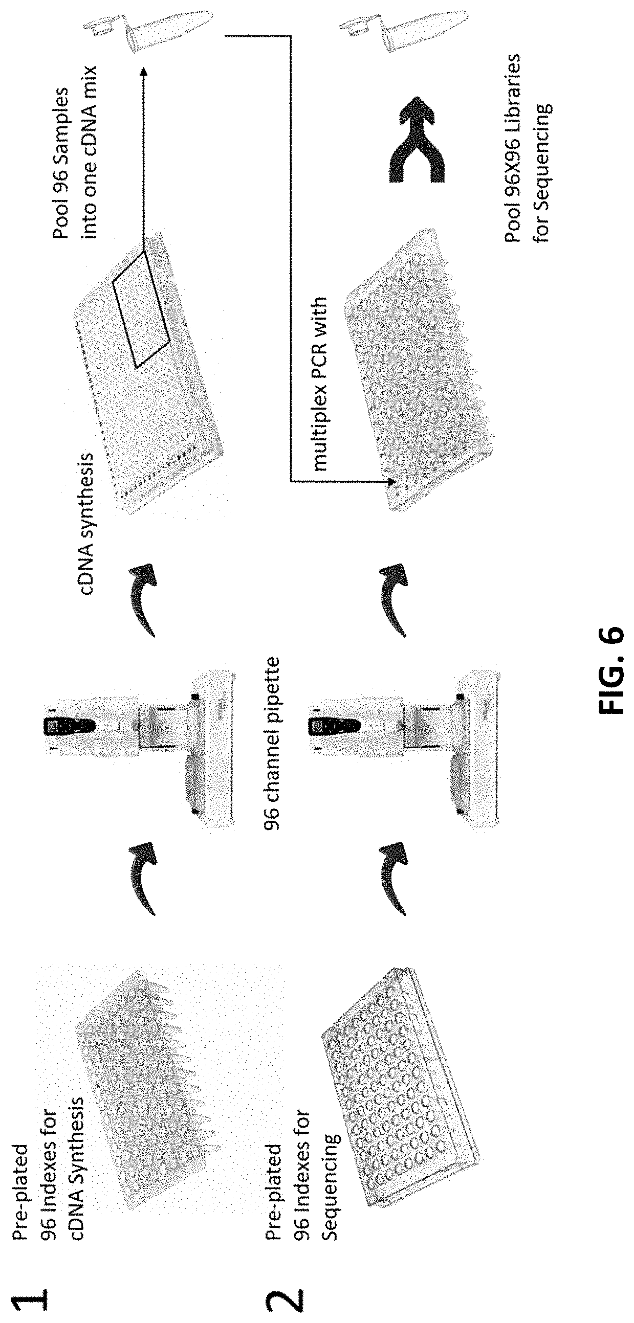 High throughput amplification and detection of short RNA fragments