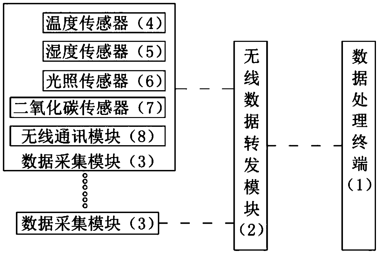 Forest carbon flux metering system and method