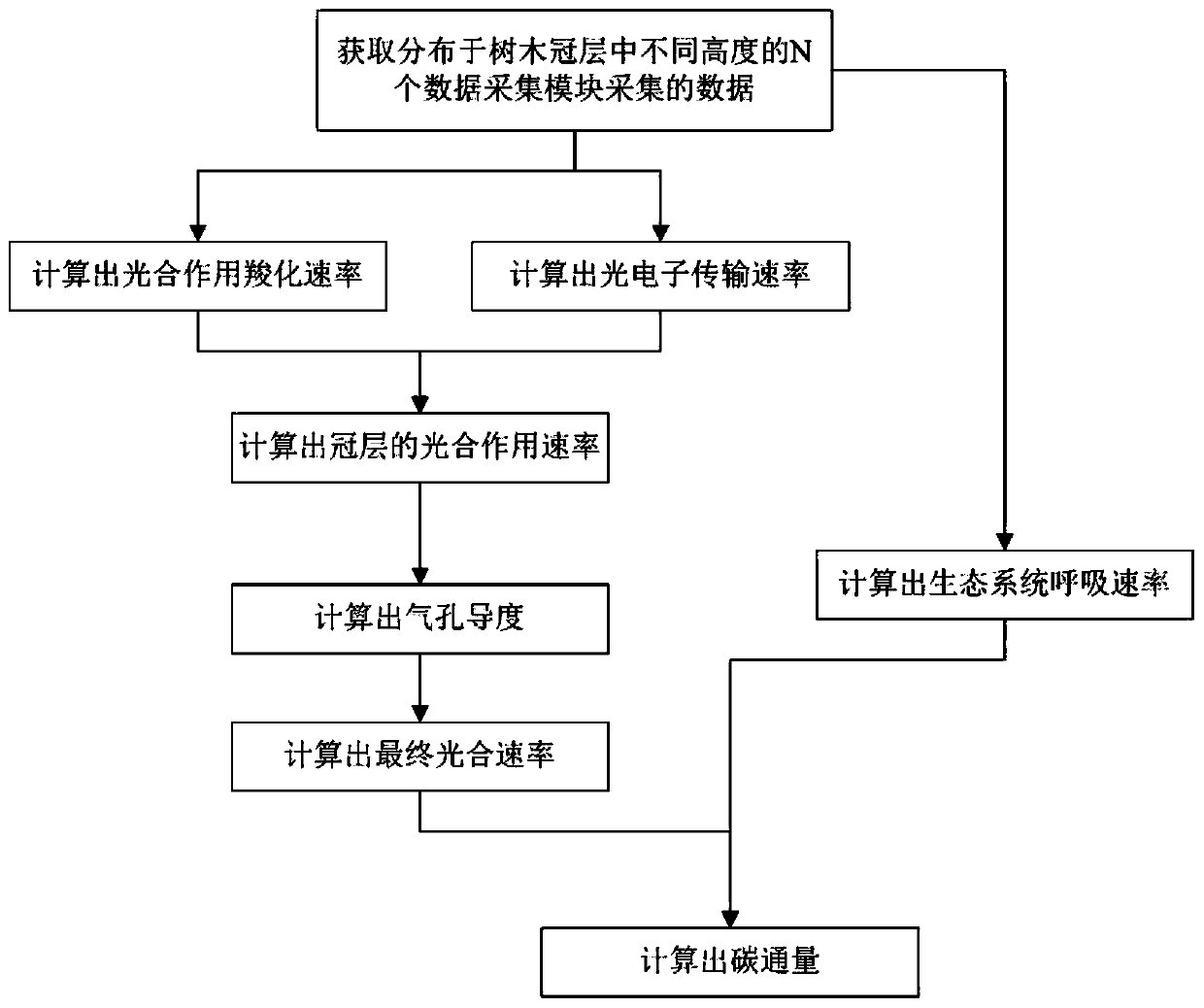 Forest carbon flux metering system and method