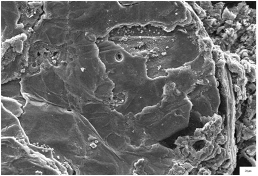 Method for preparing silicon carbide coated graphite through molten salt isolation