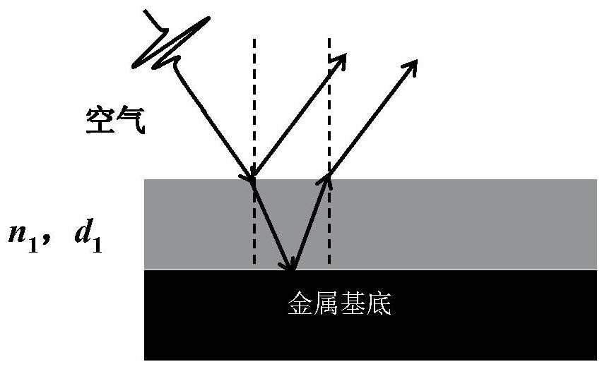 Reflective terahertz time-domain spectral thickness measurement method based on evolutionary optimization algorithm