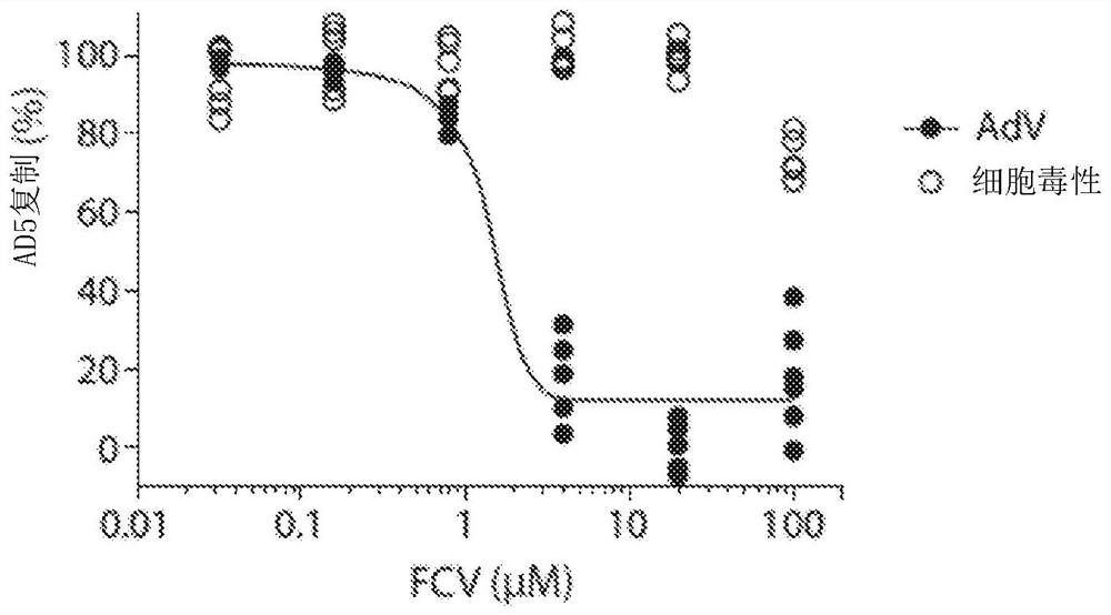 Compositions and methods for treating or preventing ocular infections with felocilovir