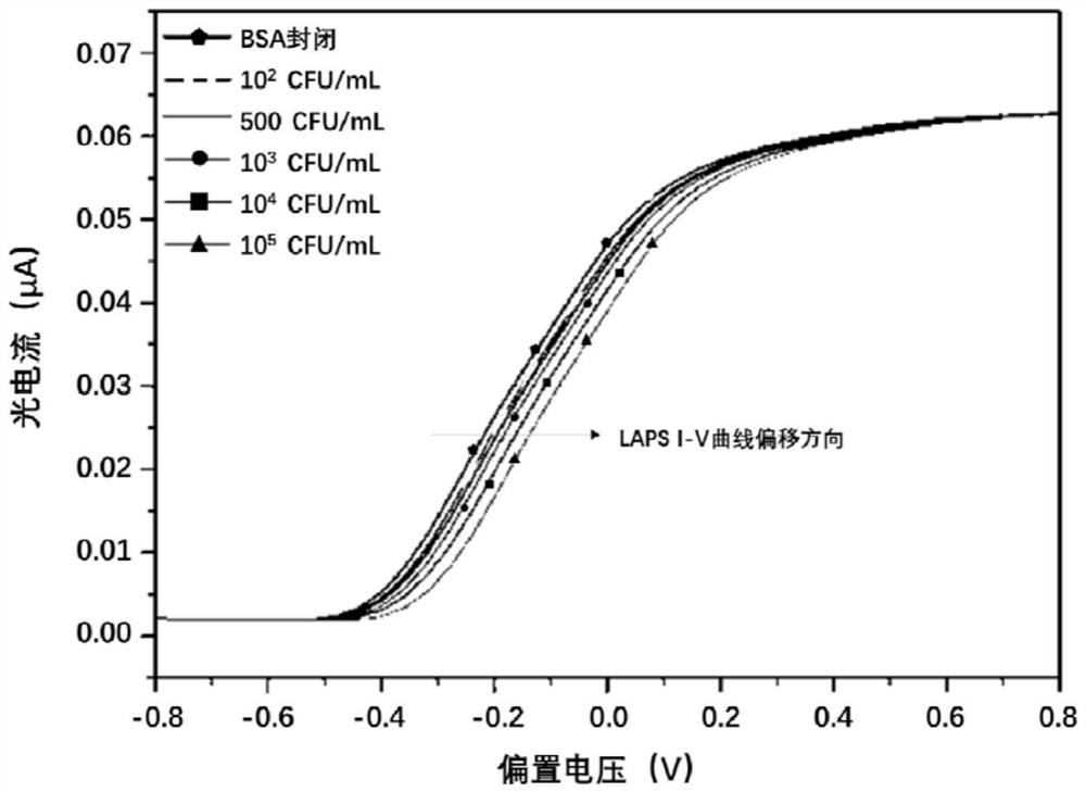 Device and method for label-free detection of Escherichia coli O157:H7 DNA based on LAPs and ZNO nanorod arrays