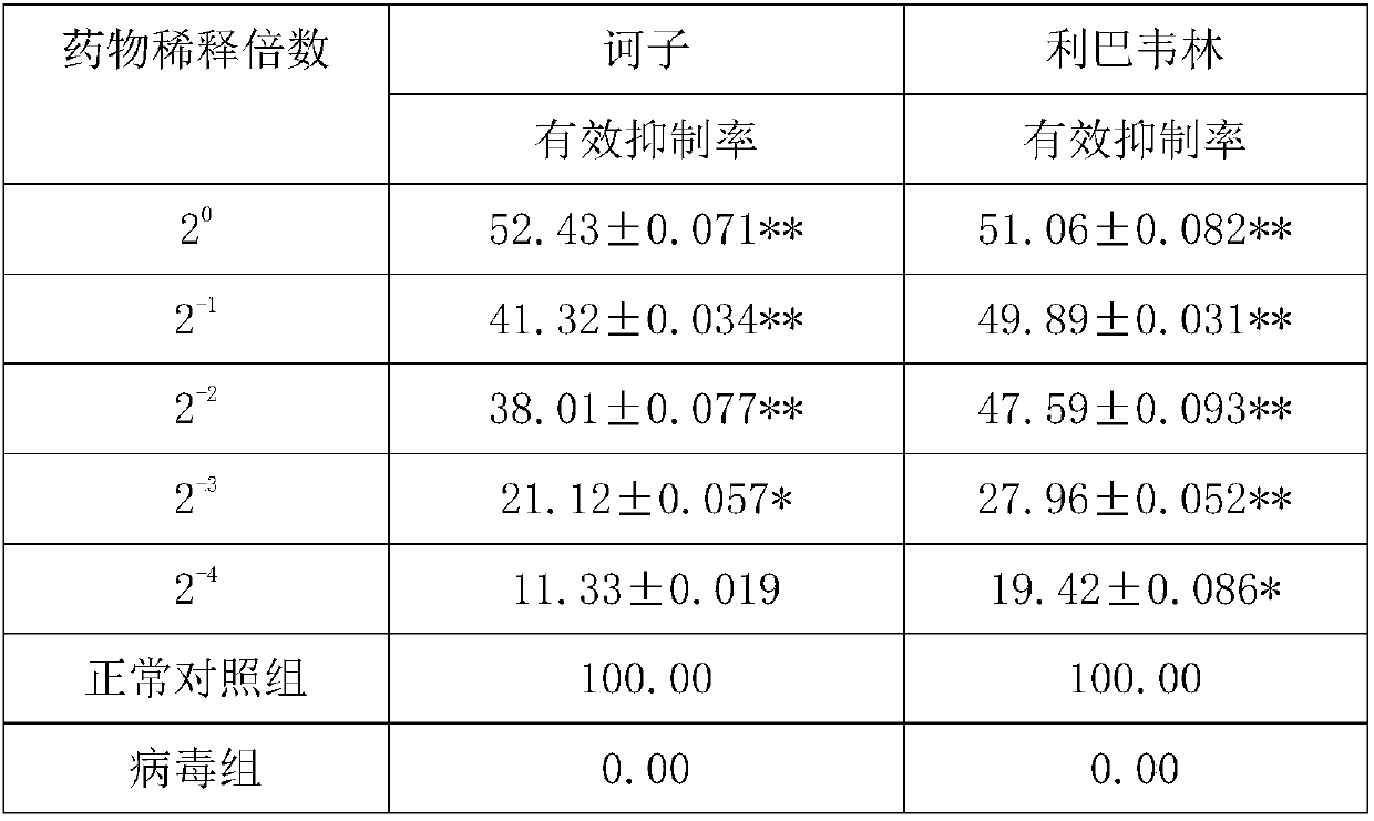 Application of fructus chebulae in preparing medicine for inhibiting and killing BVDV (bovine viral diarrhea virus)