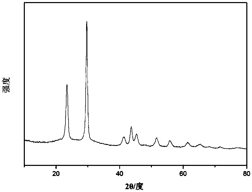 Radial selenium nanotube and preparation method thereof