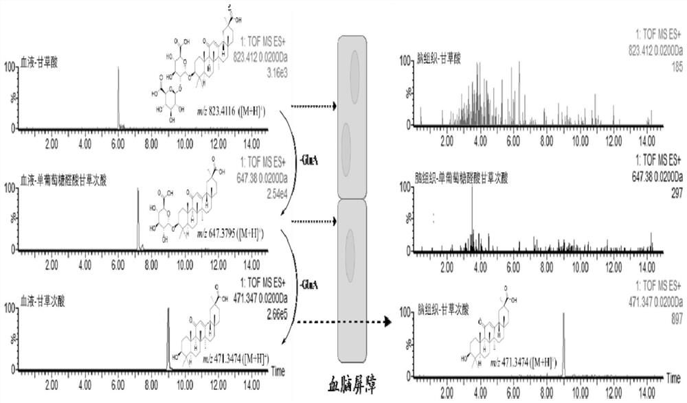 Application of 18 beta-glycyrrhetinic acid in preparation of depression-related neuronal protection medicine