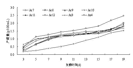 Apricotskin-skin residue vinegar acetic bacterium as well as separating-purifying method and application method thereof