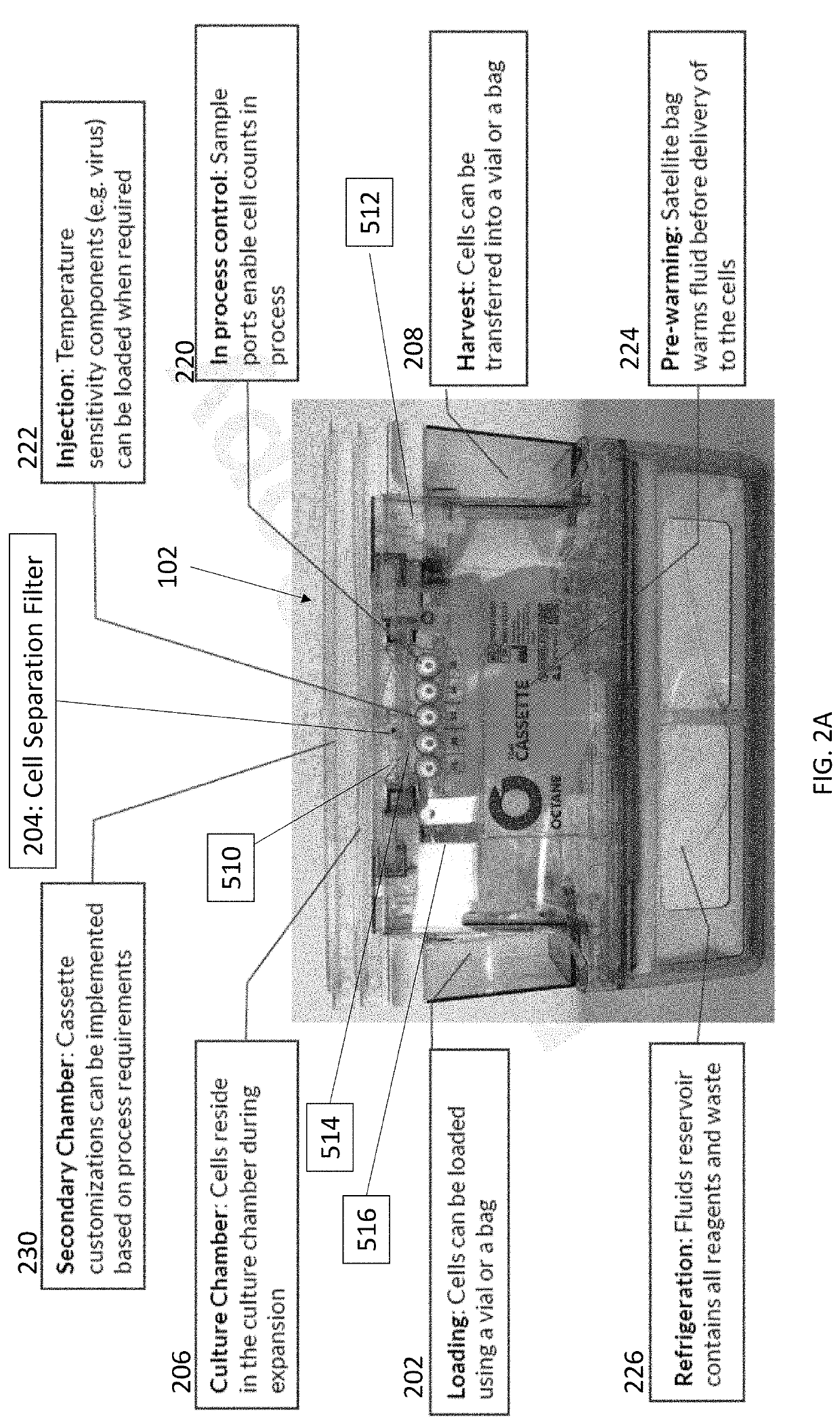 Cell isolation for use in automated bioreactors