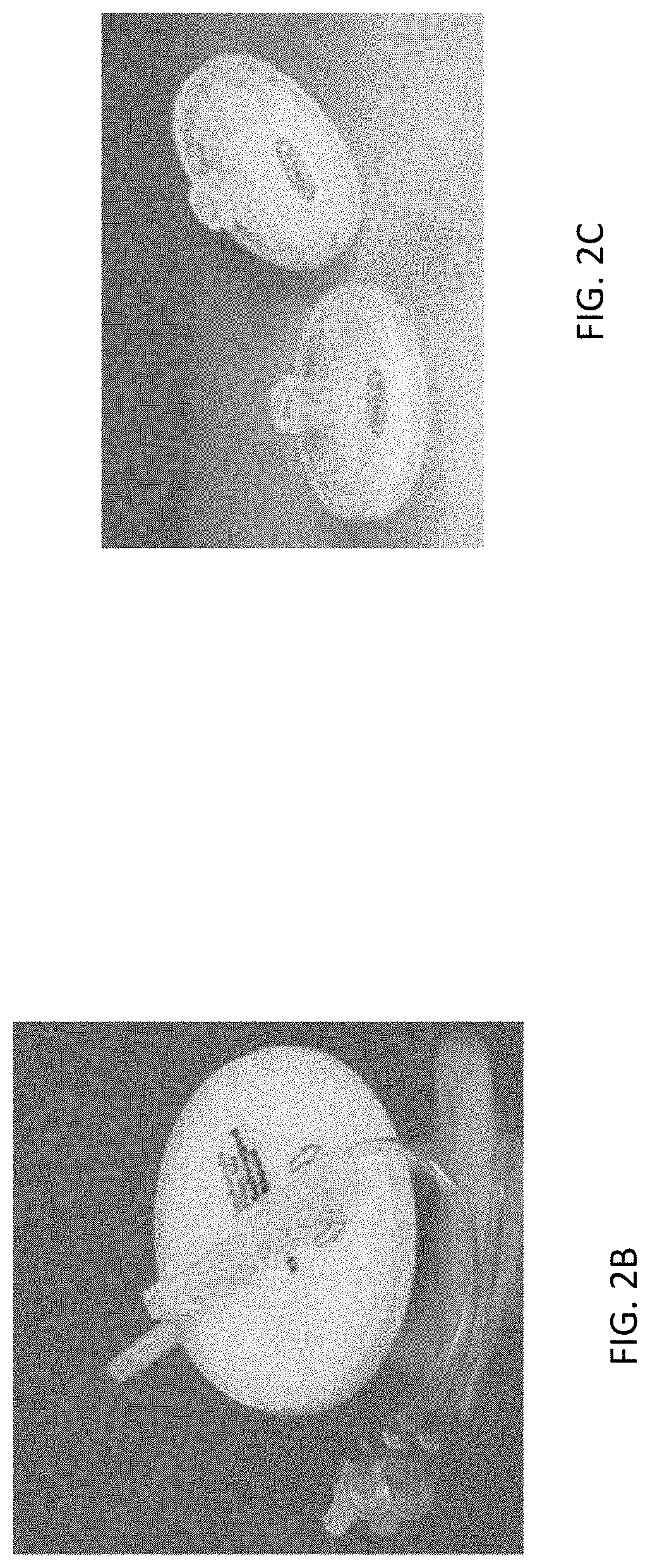 Cell isolation for use in automated bioreactors