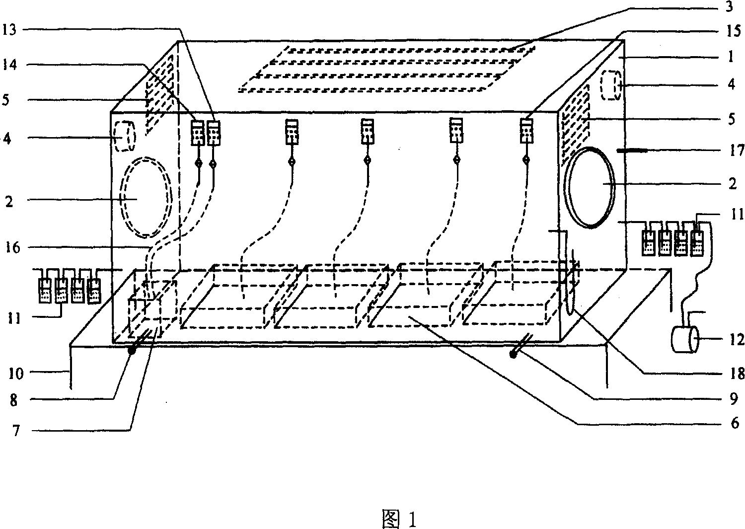 Method and device for plants carbon isotope labelling