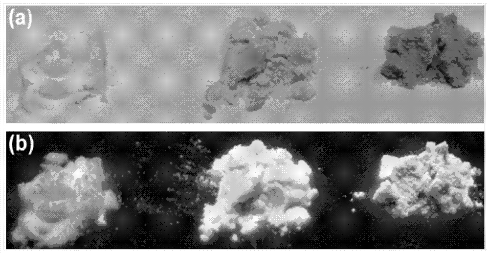 Bio-based carbon nano dot fluorescent powder, preparation method and applications thereof