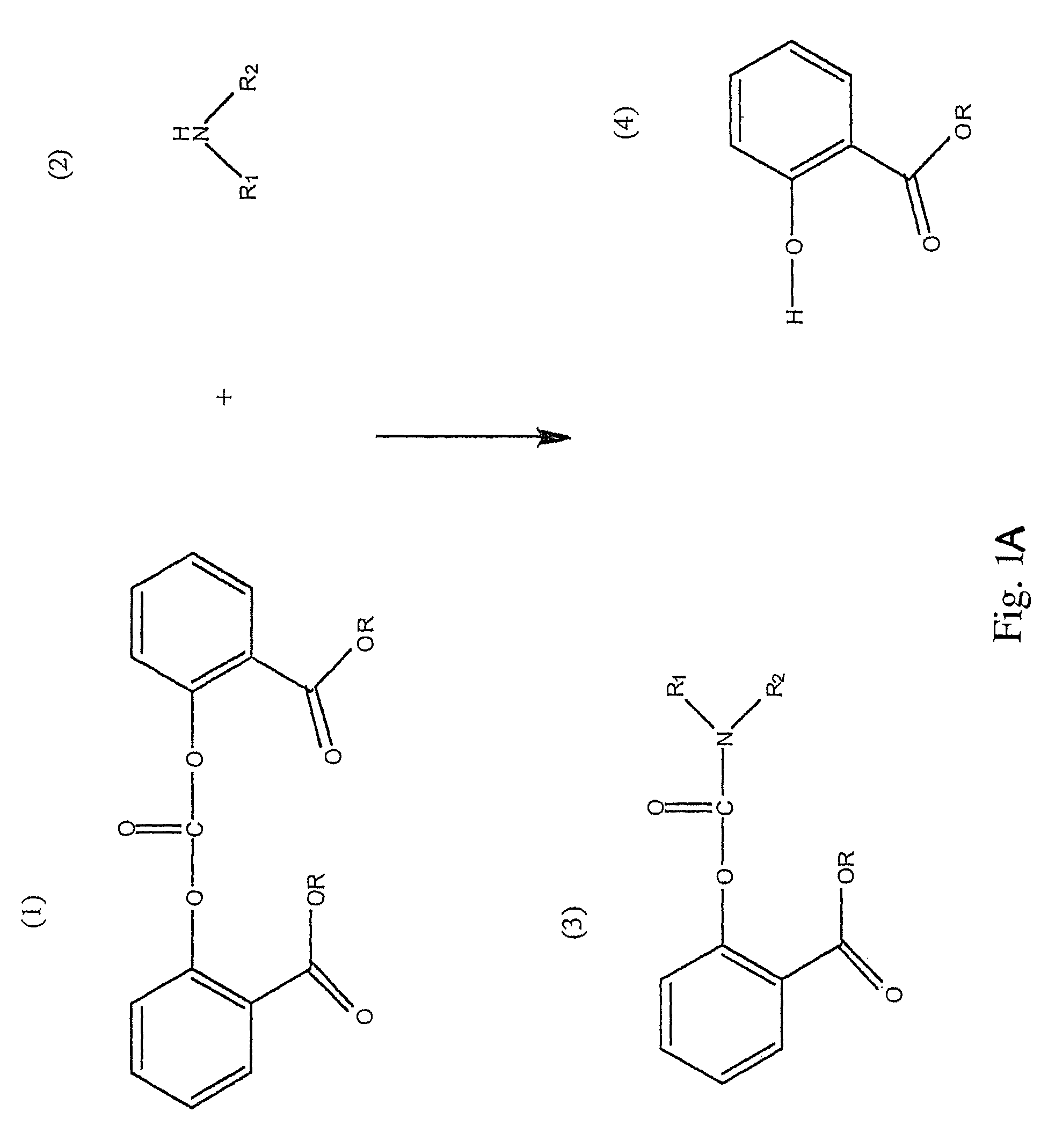 Method for making carbamates, ureas and isocyanates