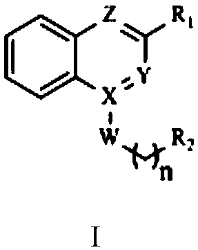 Disubstituted Bicyclic Derivatives and Their Application as Efflux Pump Inhibitors in Antibacterial