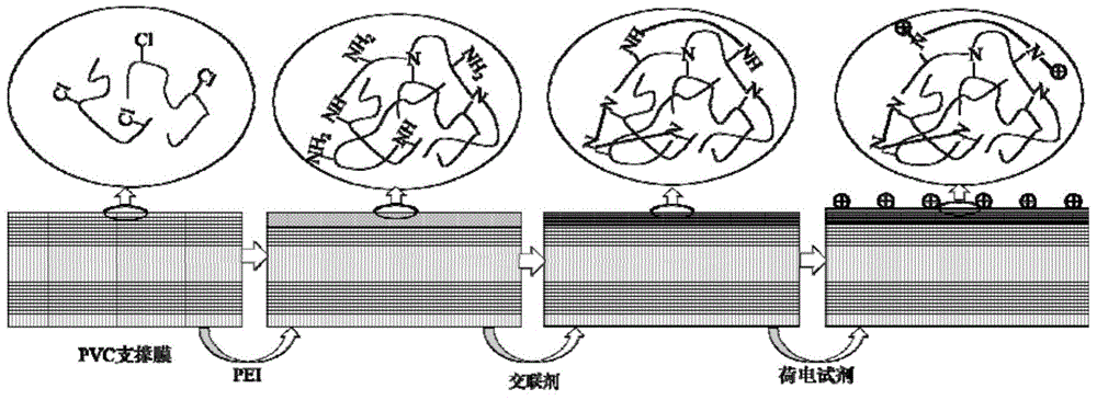 Charged type chlorine containing polymer nanofiltration membrane and preparation method thereof