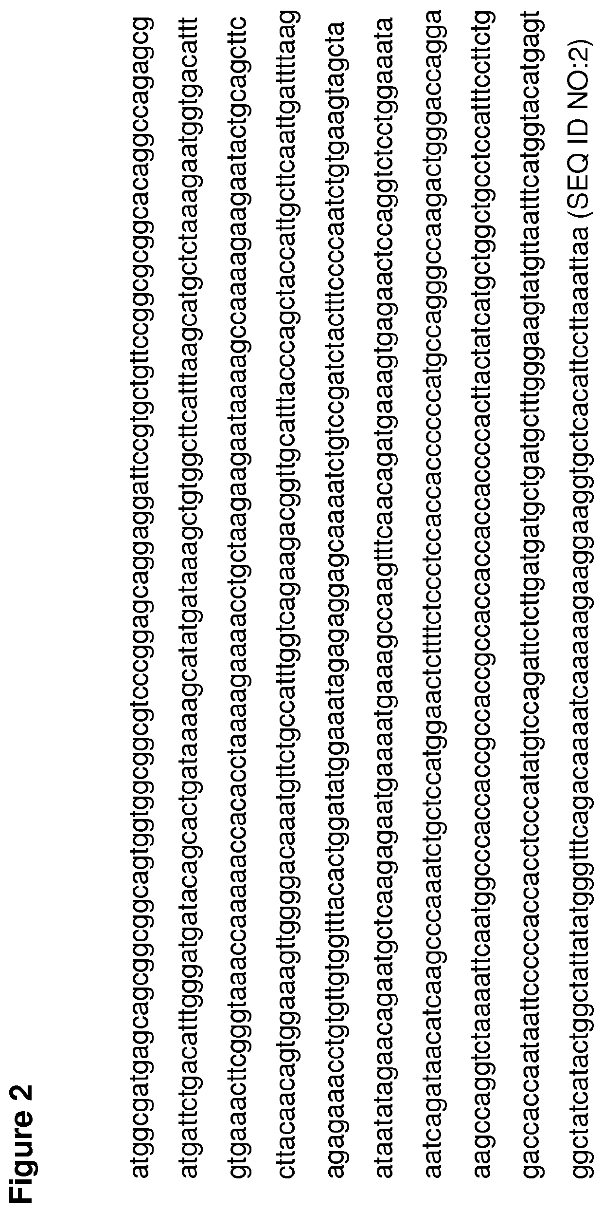 Compositions and methods for treating spinal muscular atrophy