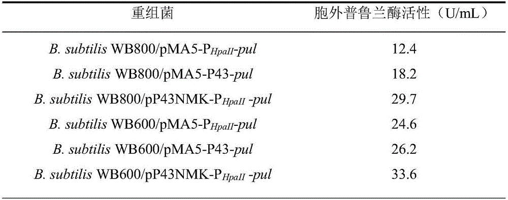 Recombinant bacillus subtilis for producing pullulanase and construction thereof