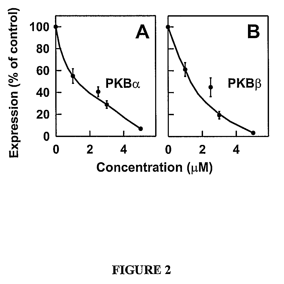 Antisense oligonucleotides against protein kinase isoforms alpha, beta and gamma