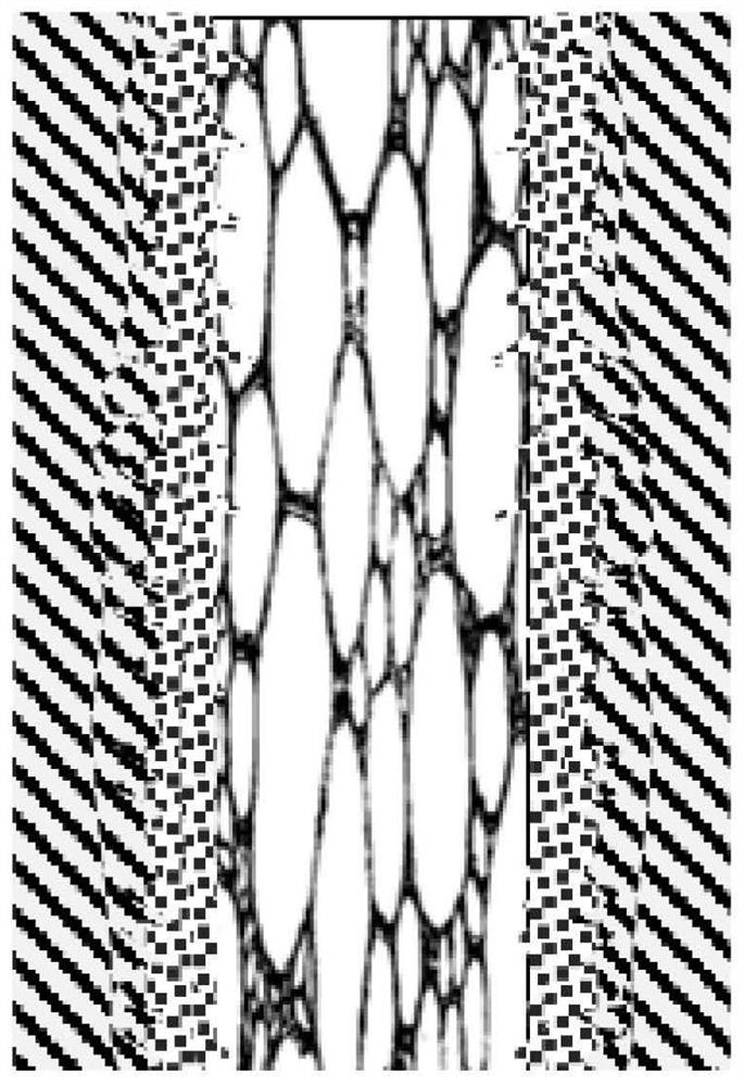 Porous titanium-based carbon nanotube reinforced amorphous metal oxide coating electrode and preparation method thereof