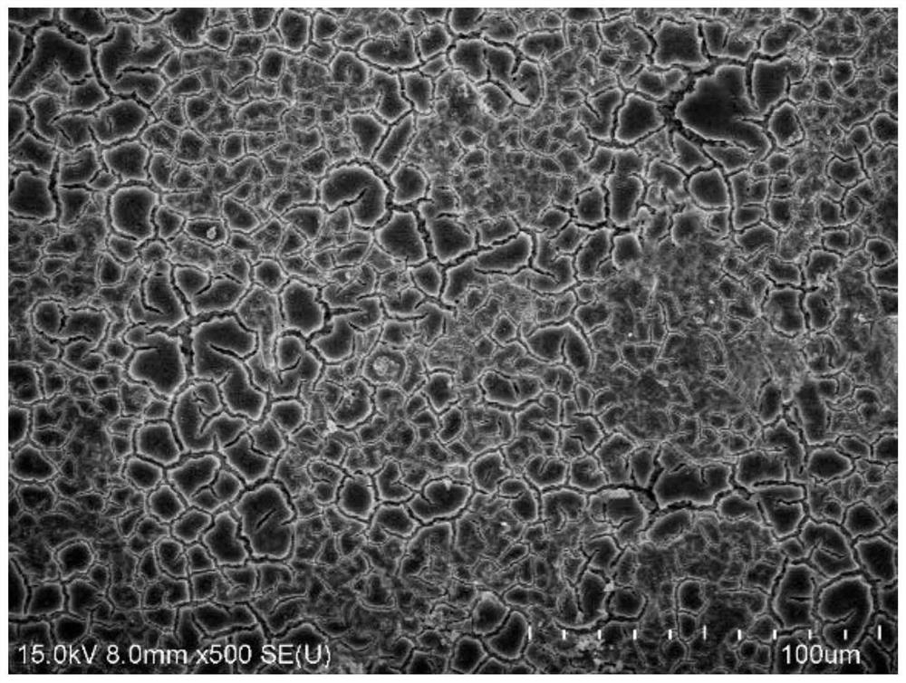 Porous titanium-based carbon nanotube reinforced amorphous metal oxide coating electrode and preparation method thereof