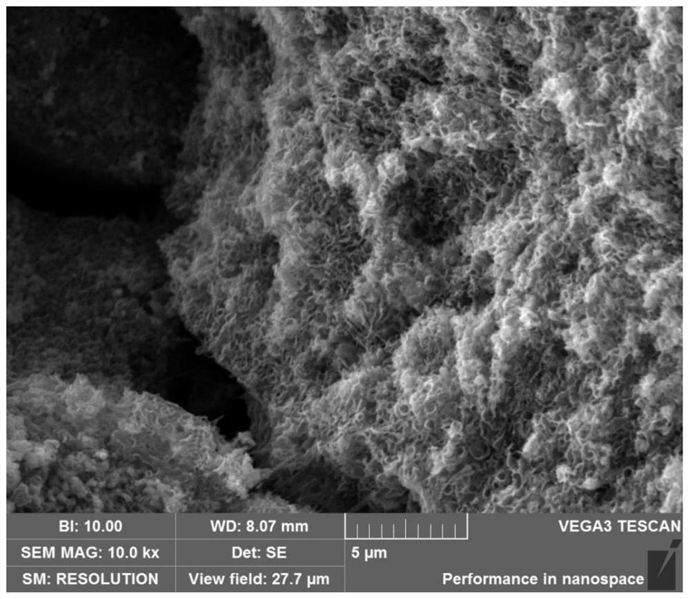 A method for preparing macro-sized porous ZNO by electrochemical corrosion