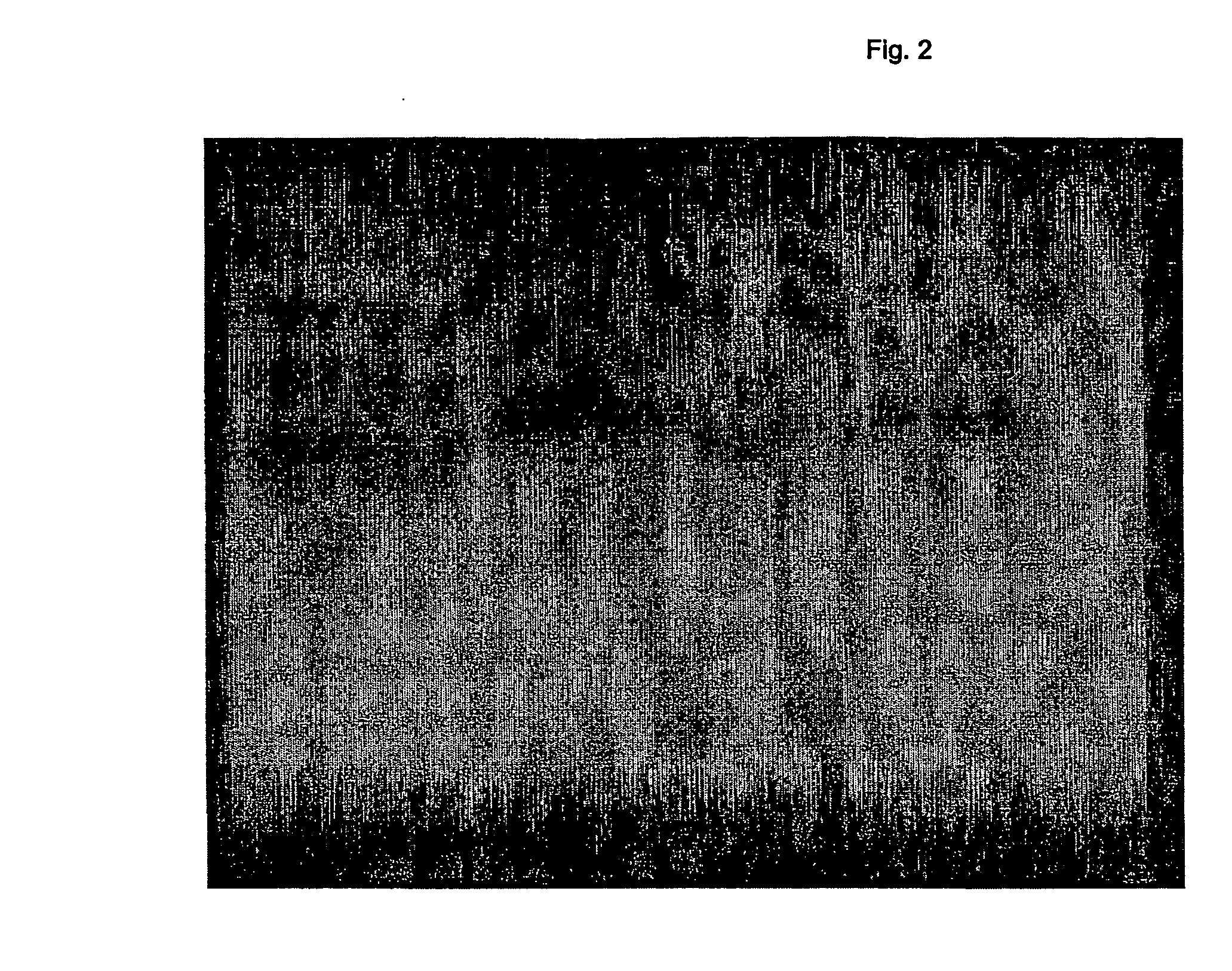 Product for absorption purposes