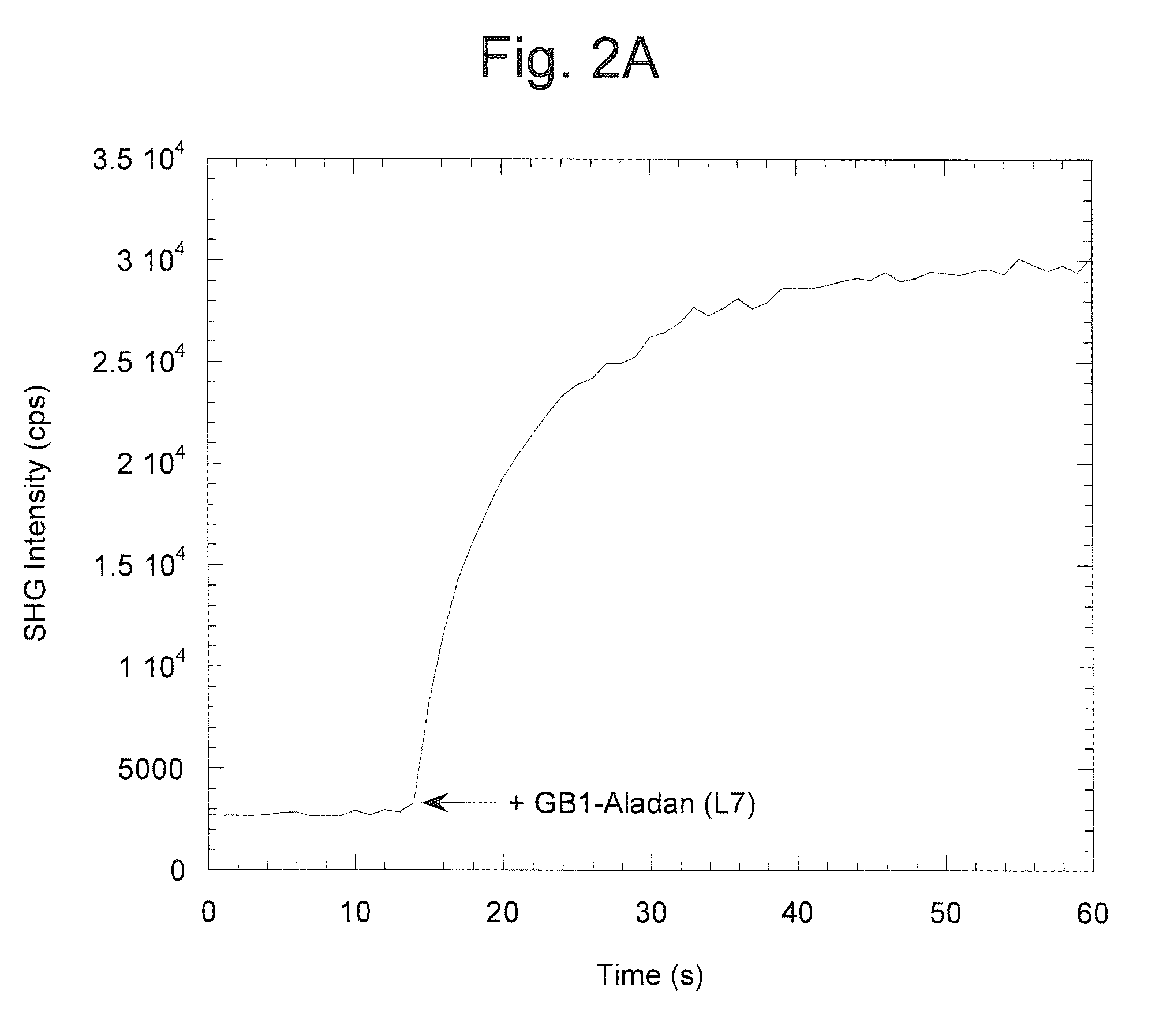 Nonlinear optical detection of molecules comprising an unnatural amino acid possessing a hyperpolarizability