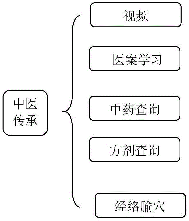 Traditional Chinese medicine inheritance and big data mining-based dynamic health management system for life cycle