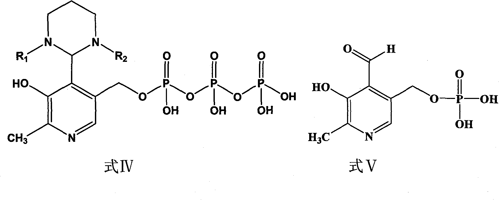 Phosphopyridoxal intermediates, preparation method of same, application of same, and method for preparing phosphopyridoxal therefrom