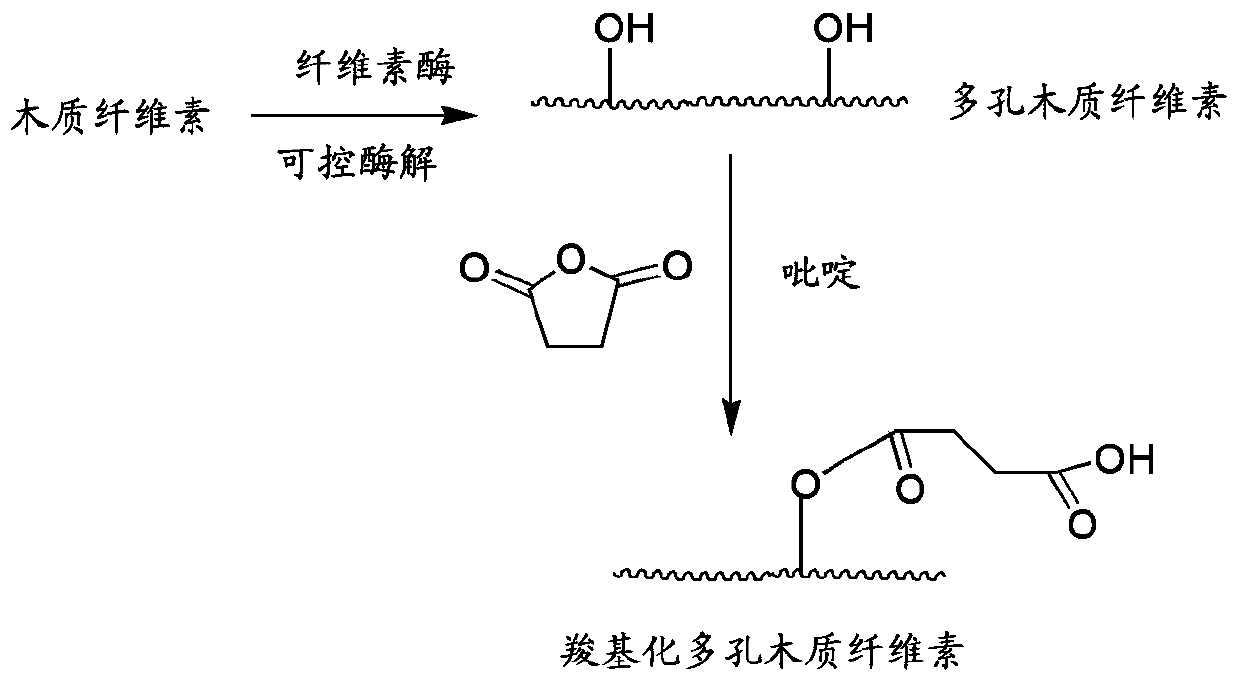 Preparation method of porous adsorbent for adsorbing heavy metals in marine protein enzymatic hydrolyzate