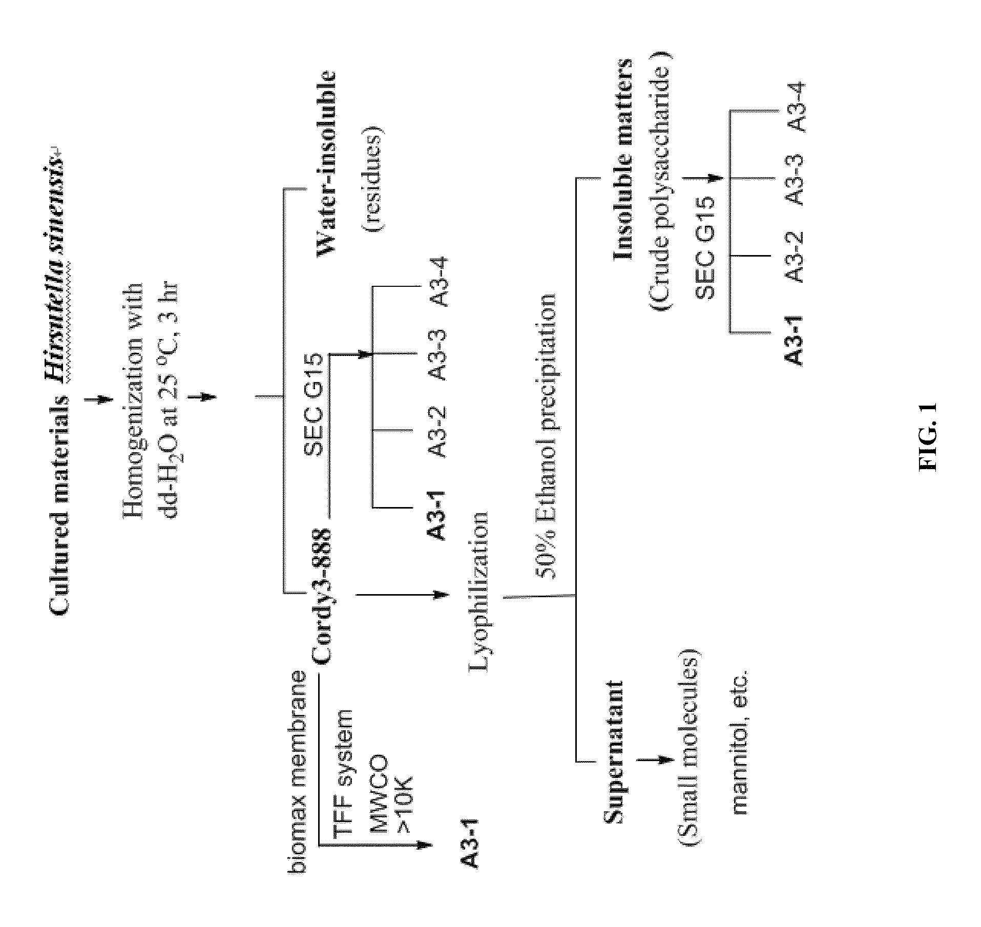 <i>Hirsutella sinensis </i>mycelia compositions and methods for treating sepsis and related inflammatory responses