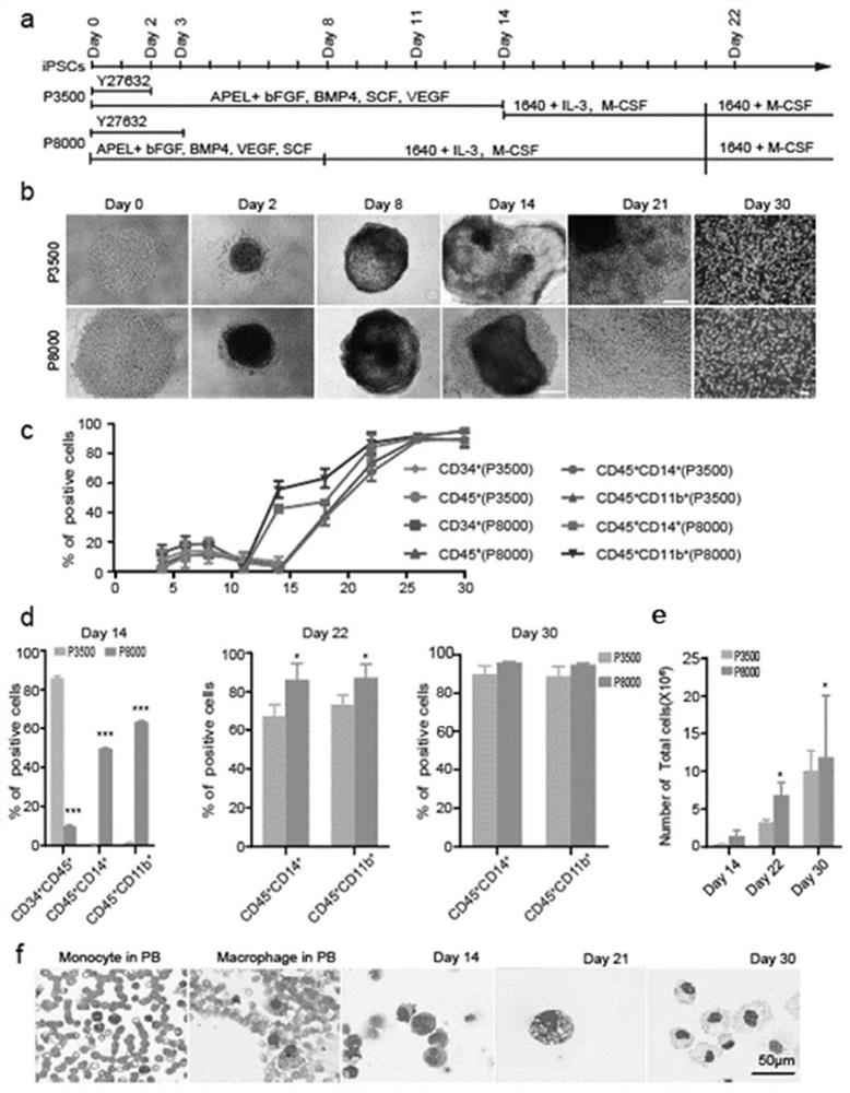 Method for differentiating macrophages from hiPS