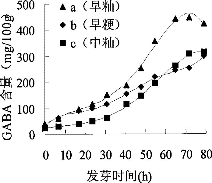 A kind of rice product rich in γ-aminobutyric acid and production method thereof