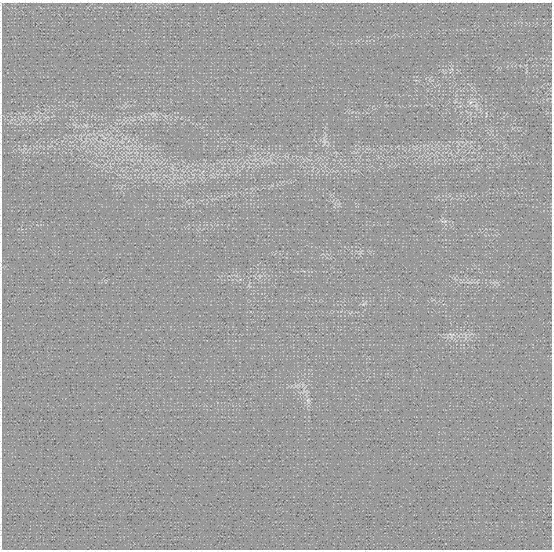 Polarimetric SAR image change detection method based on depth confidence network