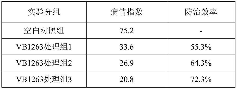 A kind of methylotrophic bacillus and its application in agricultural production