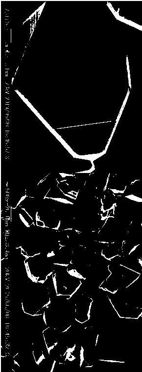 Synthesis method of micropowder grade cubic boron nitride single crystal