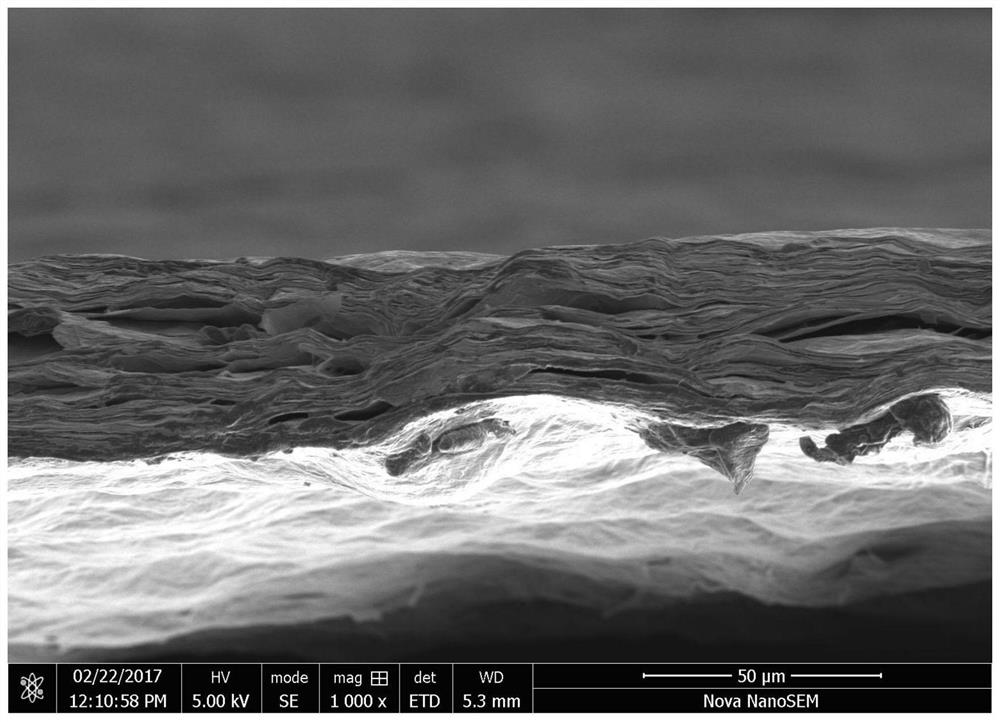 Pre-reduced graphene oxide film and preparation method thereof, and graphene heat conduction film and preparation method thereof